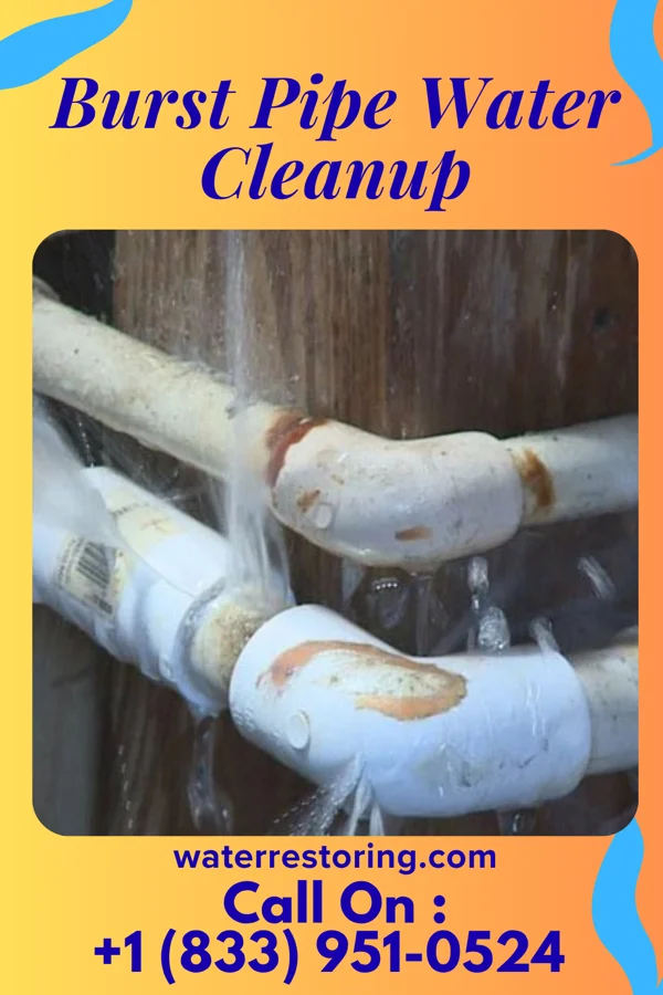 Burst Pipe Water Cleanup in Glenarden, MD