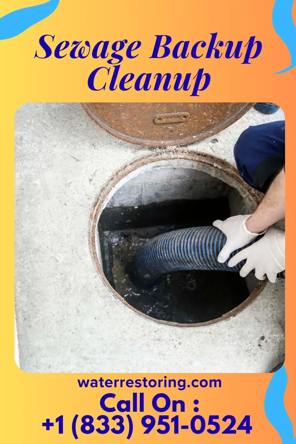 Sewage Backup Cleanup in Glenarden, MD